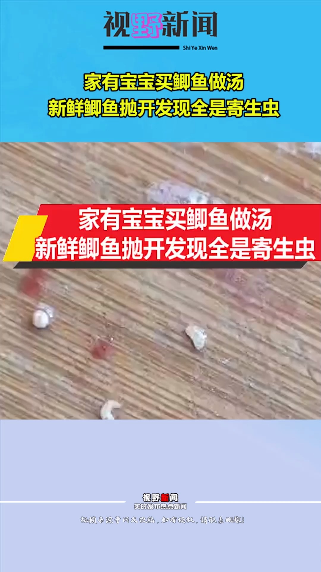 家有宝宝买鲫鱼做汤,新鲜鲫鱼抛开发现全是寄生虫