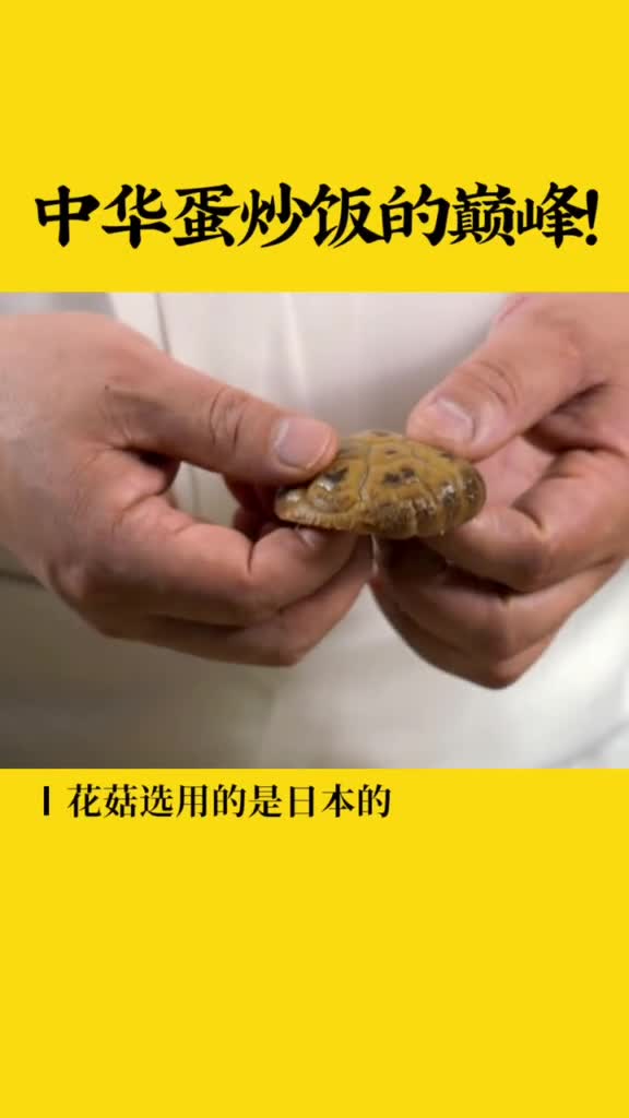 小葱爱生活:中华蛋炒饭的巅峰!