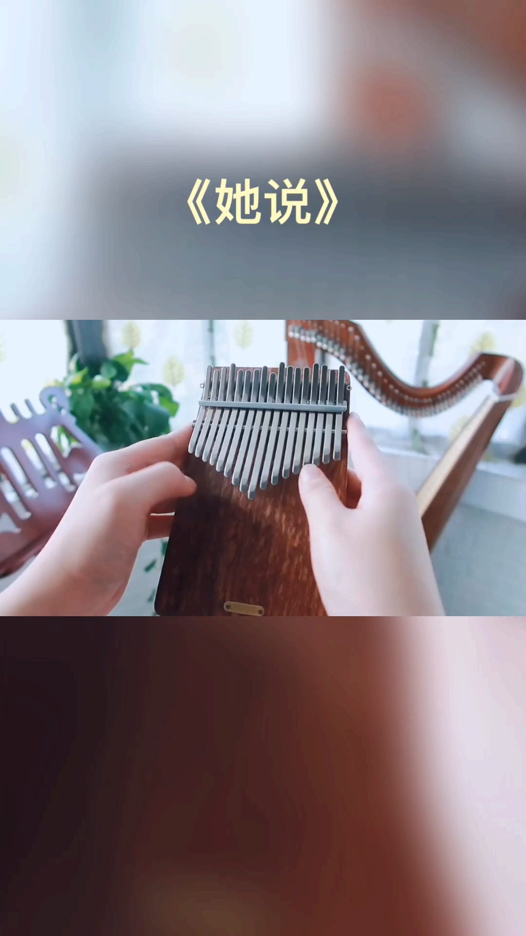 【卡林巴琴】 林俊杰  《她说》