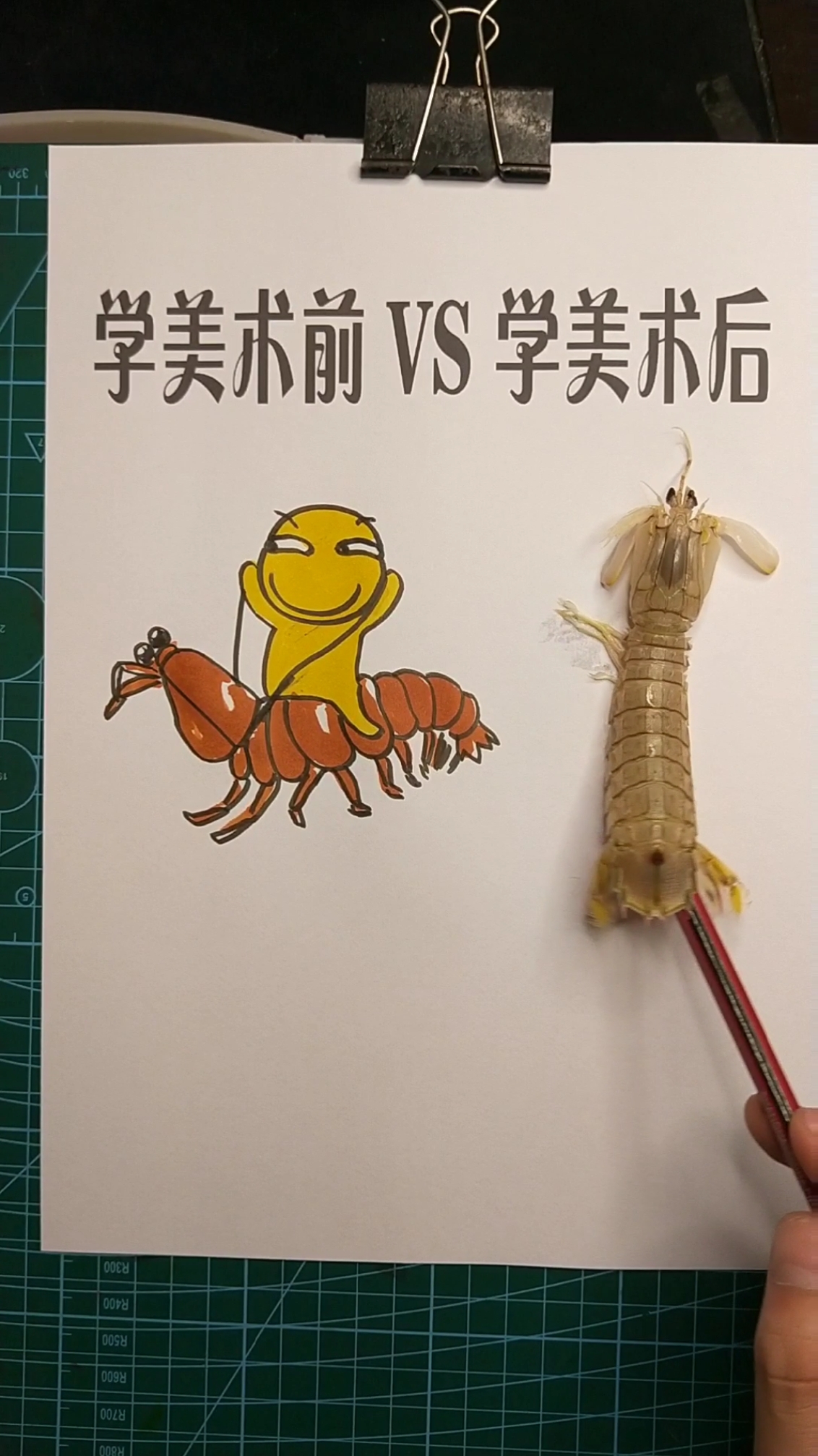 皮皮虾:马良你好