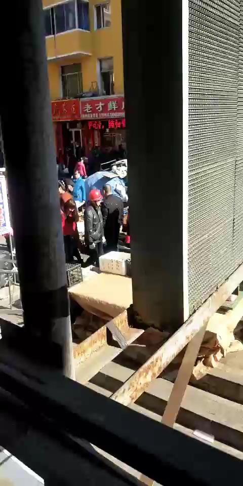 分享视频
