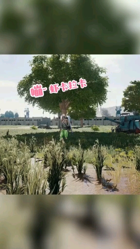 #大吉大利 今晚吃鸡#