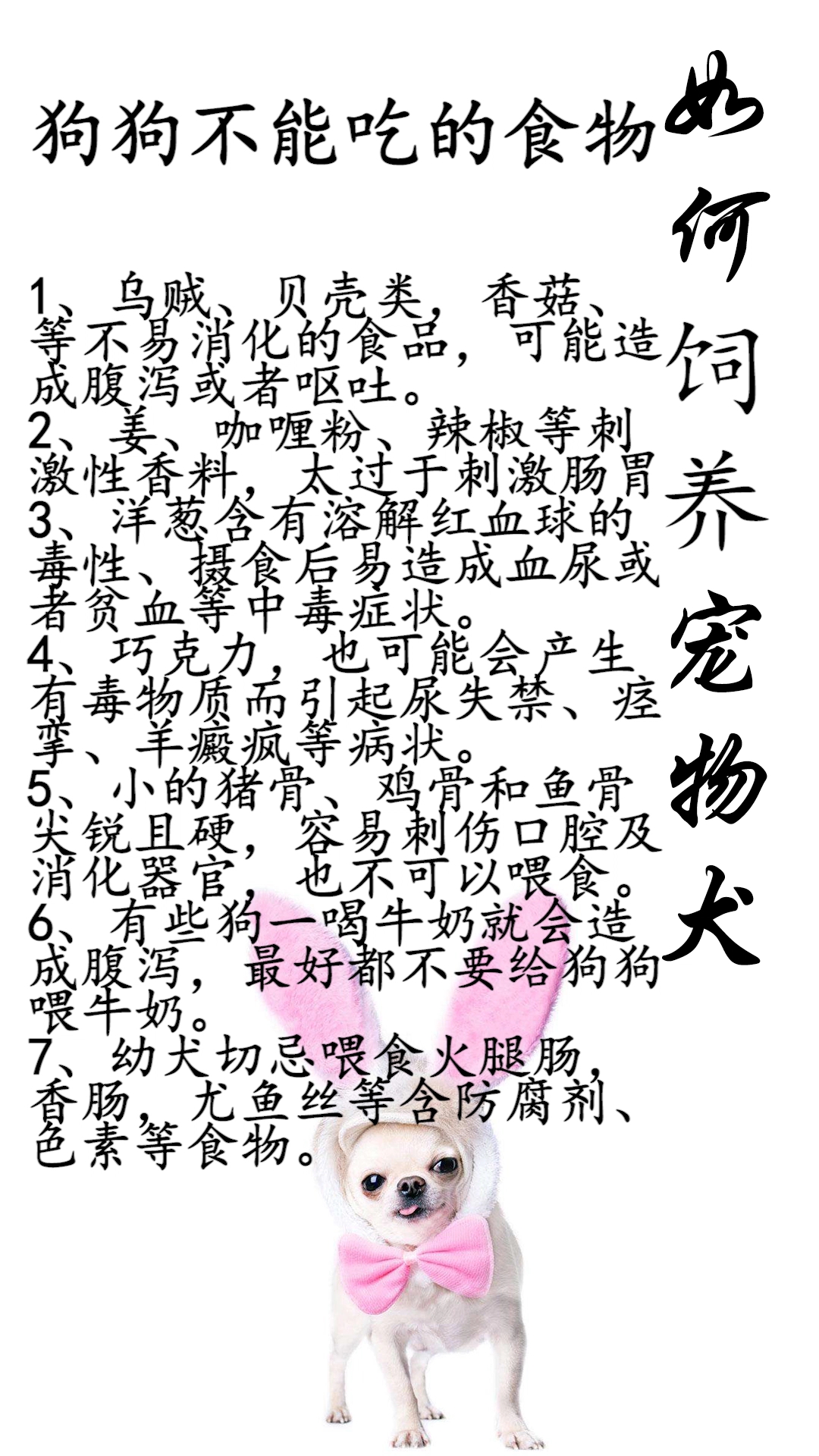 这些都是狗狗不能吃的东西