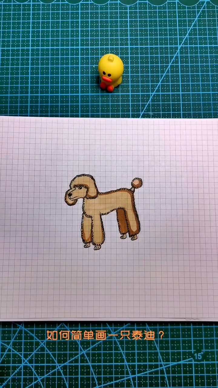 一学就会的泰迪狗简笔画,学不会你打我。