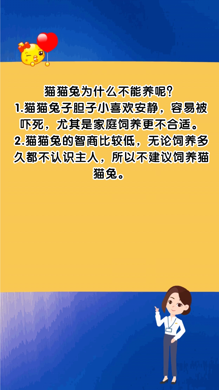 猫猫兔为什么不能养呢?