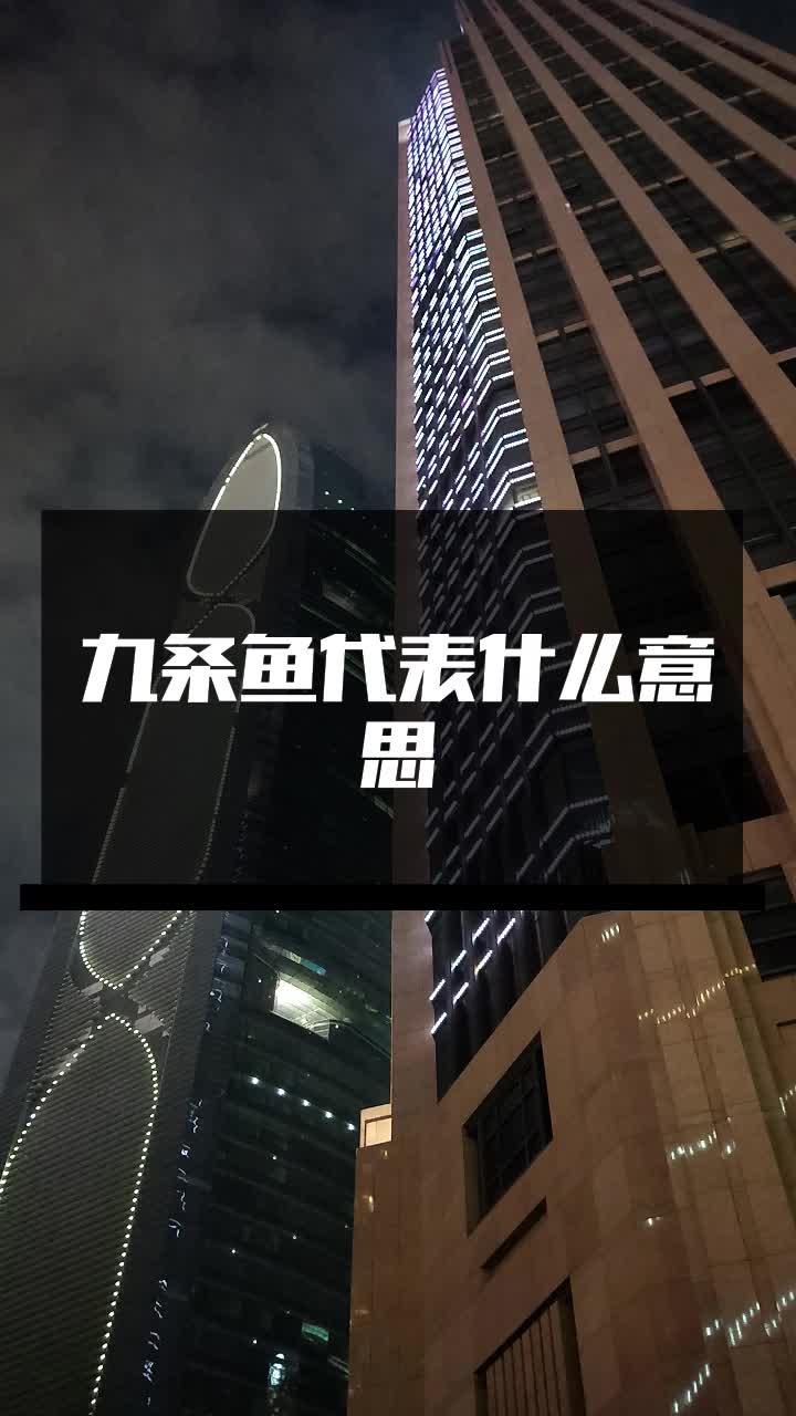 九条鱼代表什么意思
