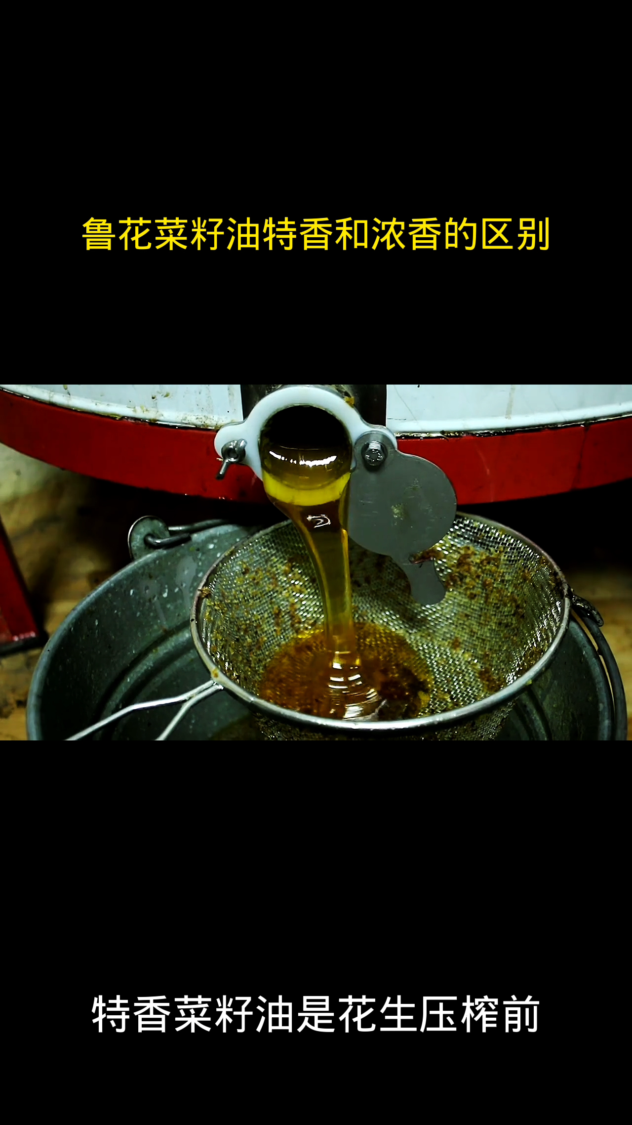 鲁花菜籽油特香和浓香的区别?