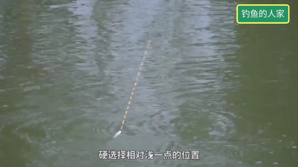 向北的方位作钓,黑坑钓鱼最佳位置,是钓鲤鱼和青鱼的必经钓位
