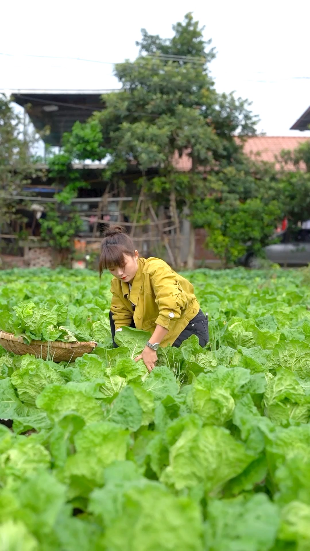 #舌尖上的乡村美食#今天的啤酒鸭香嫩留齿,就是有点费“佐料”。