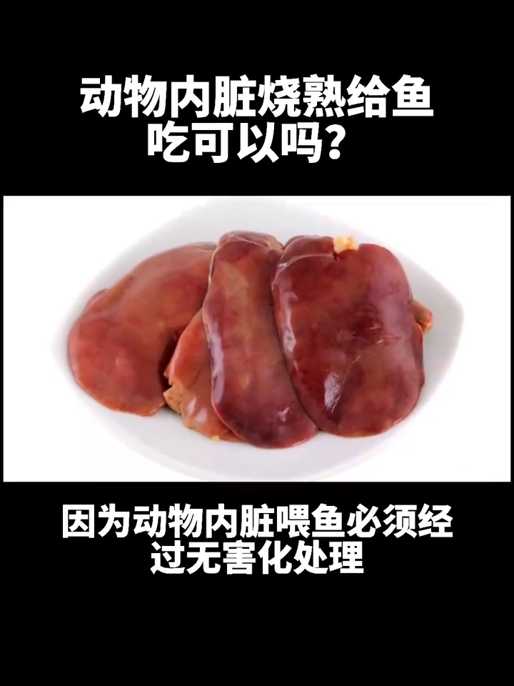 动物内脏烧熟给鱼吃可以吗