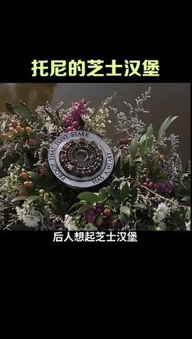钢铁侠最爱的芝士汉堡,代表了演员、