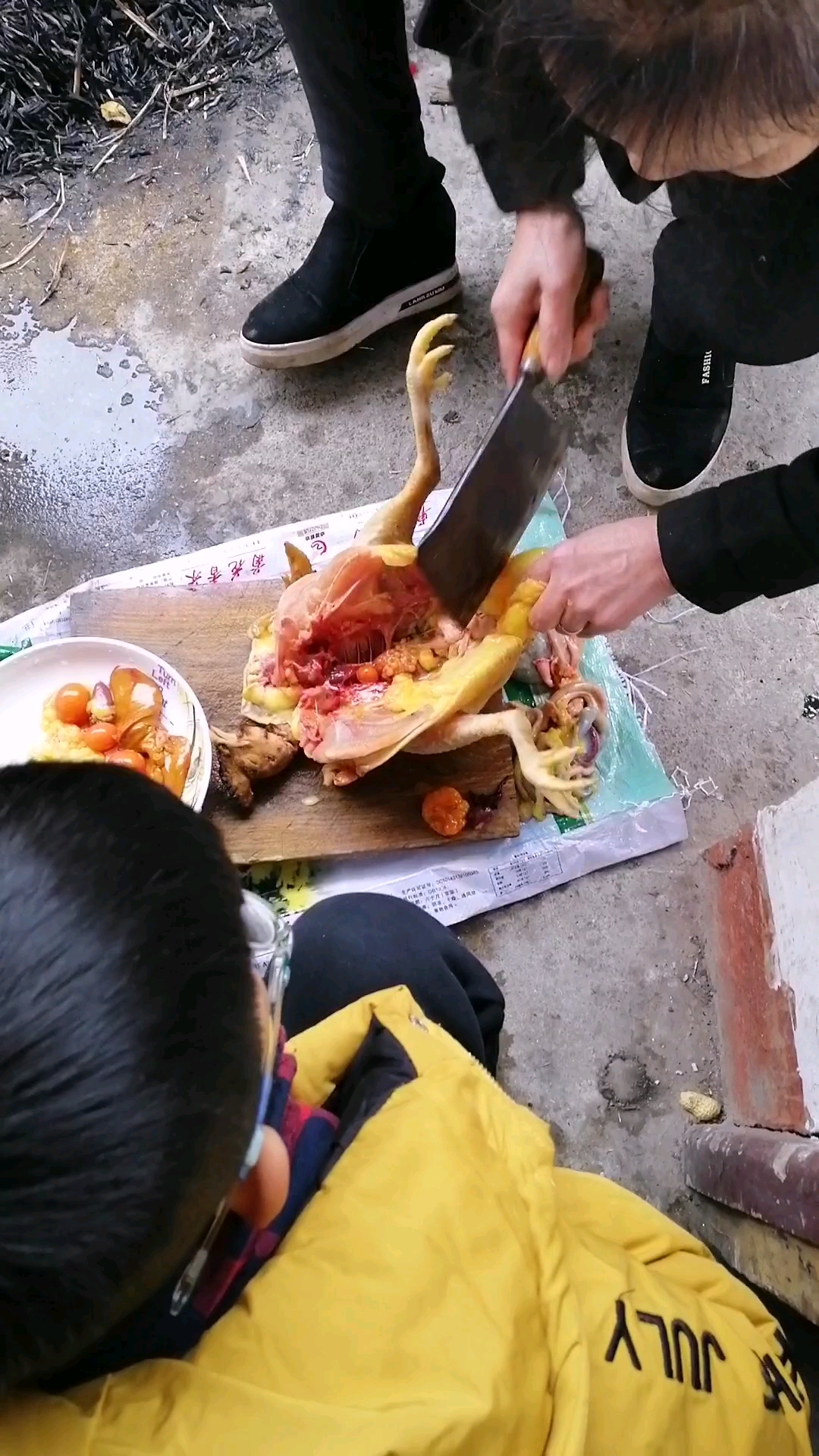 土生土长,不吃饲料的鸡的真实样子!