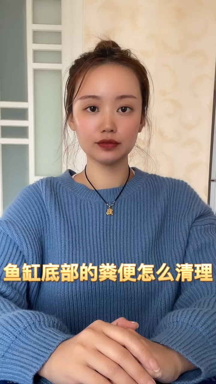 鱼缸底部的粪便怎么清理