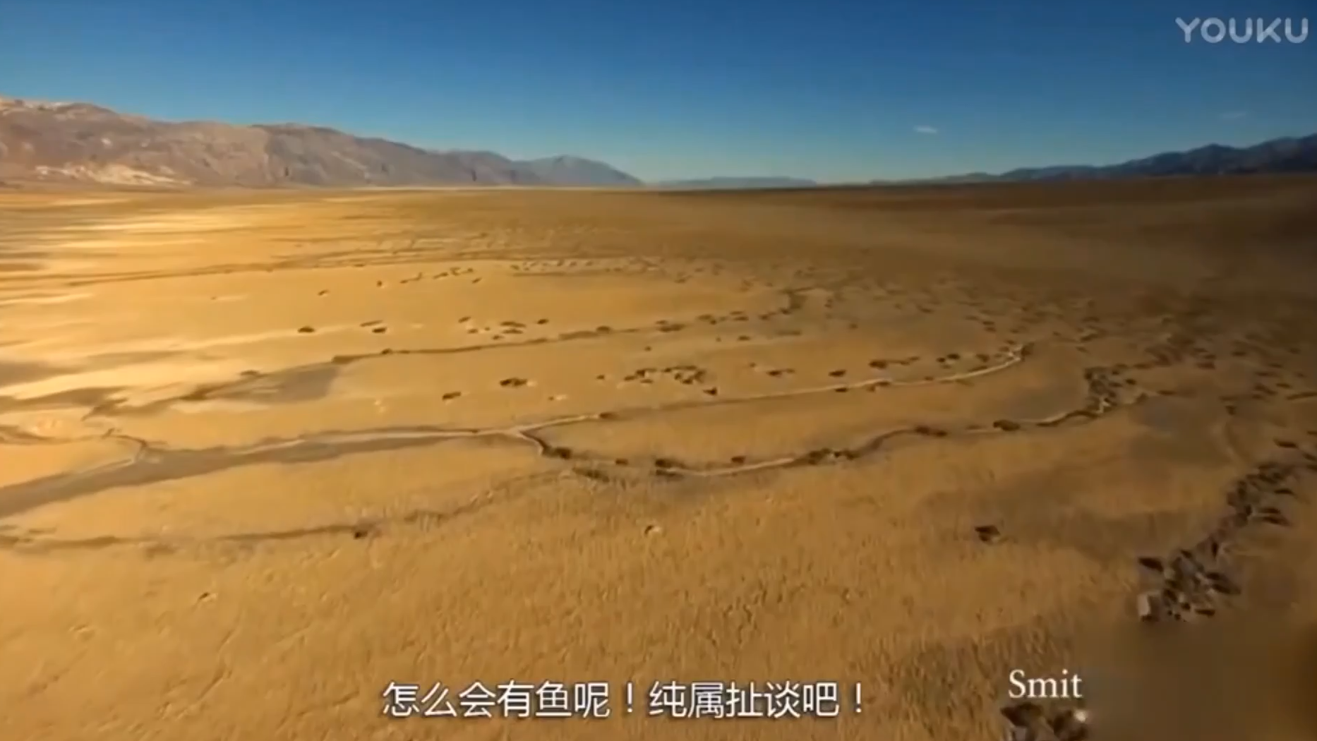 你绝对没见过的神奇鱼类——沙漠鱼