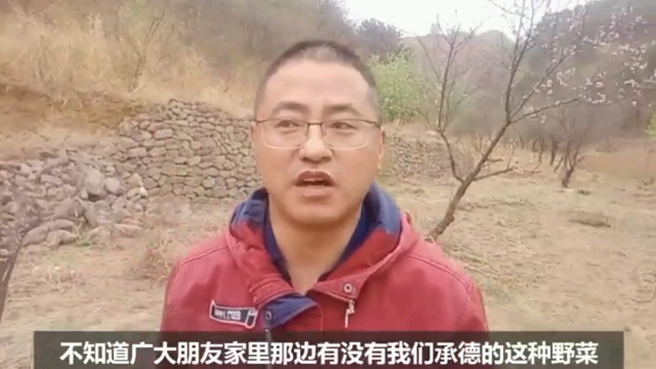 公司后面就是山,闲暇之余挖点野菜尝个鲜!