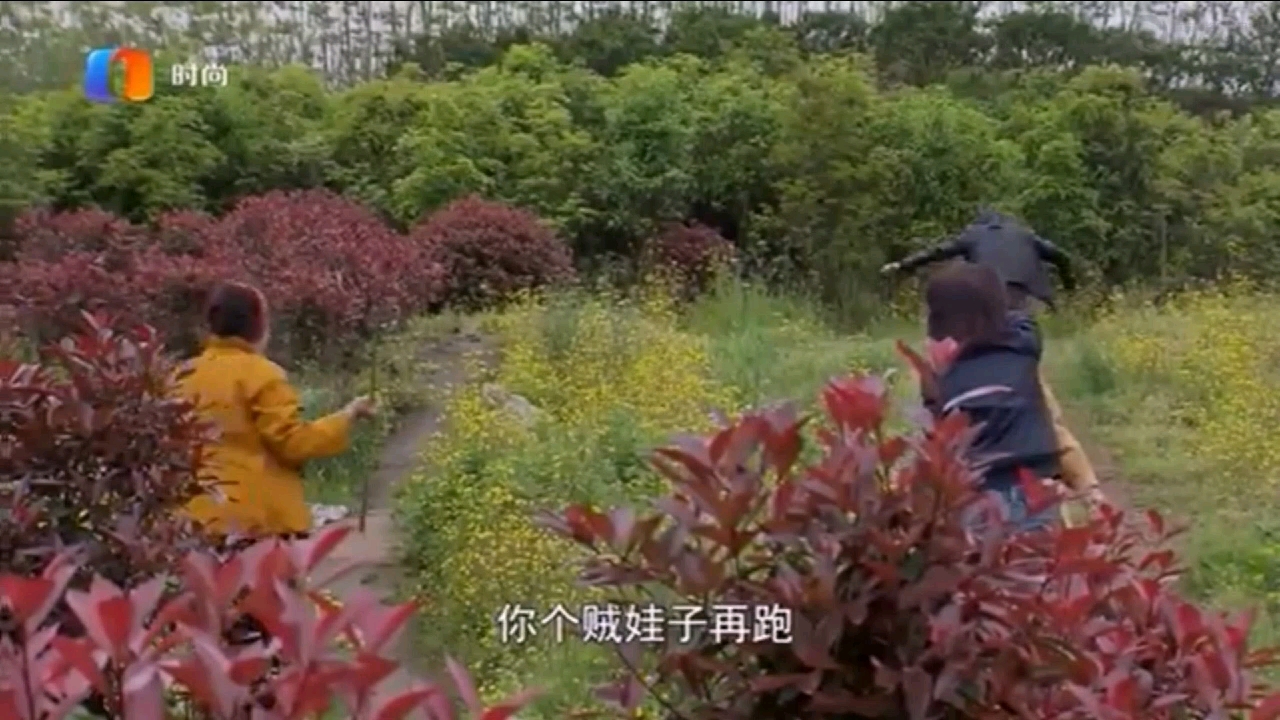 生活麻辣烫:看大脑壳的精彩表演,琪琪姐与娇姐搭档的真好