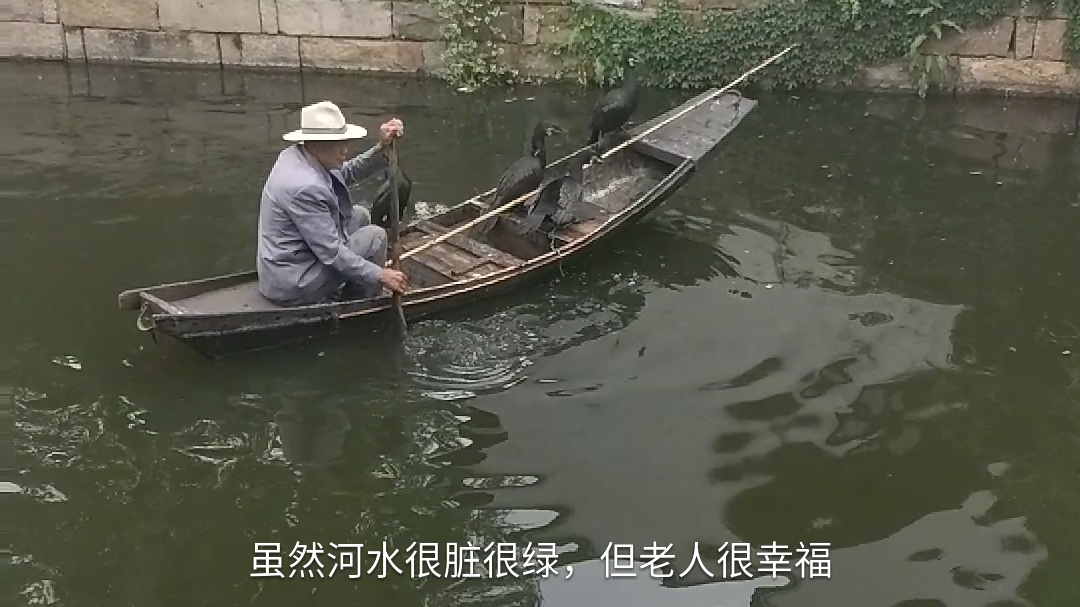 不知道这种鸟叫什么学名,但是水下捉鱼很厉害