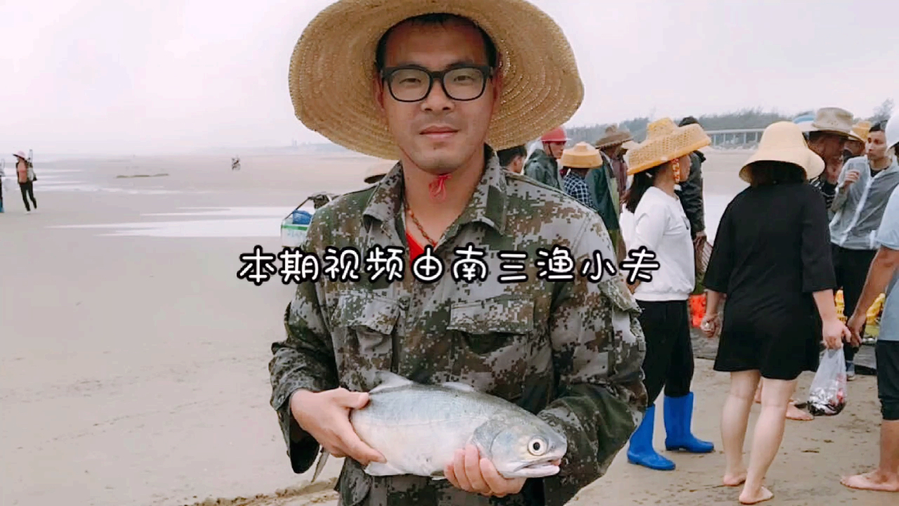 渔小夫在海边赶海意外发现一艘烂船,密密麻麻的青口螺,发财啦
