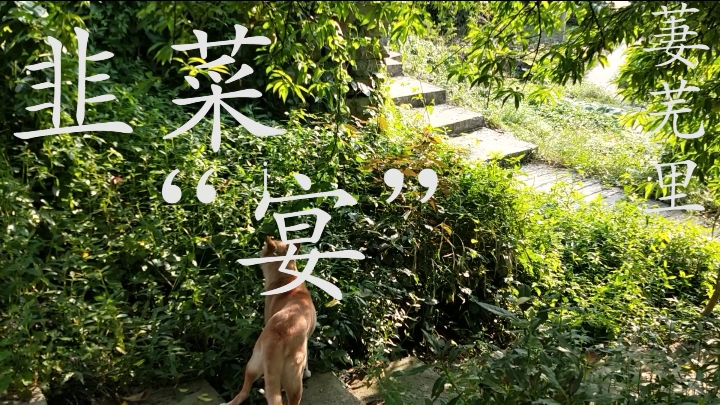 韭菜四种吃法,很多你肯定没有吃过,超级香,超下饭