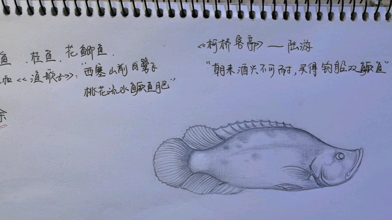 《富贵有余》第二天,设计定稿…
