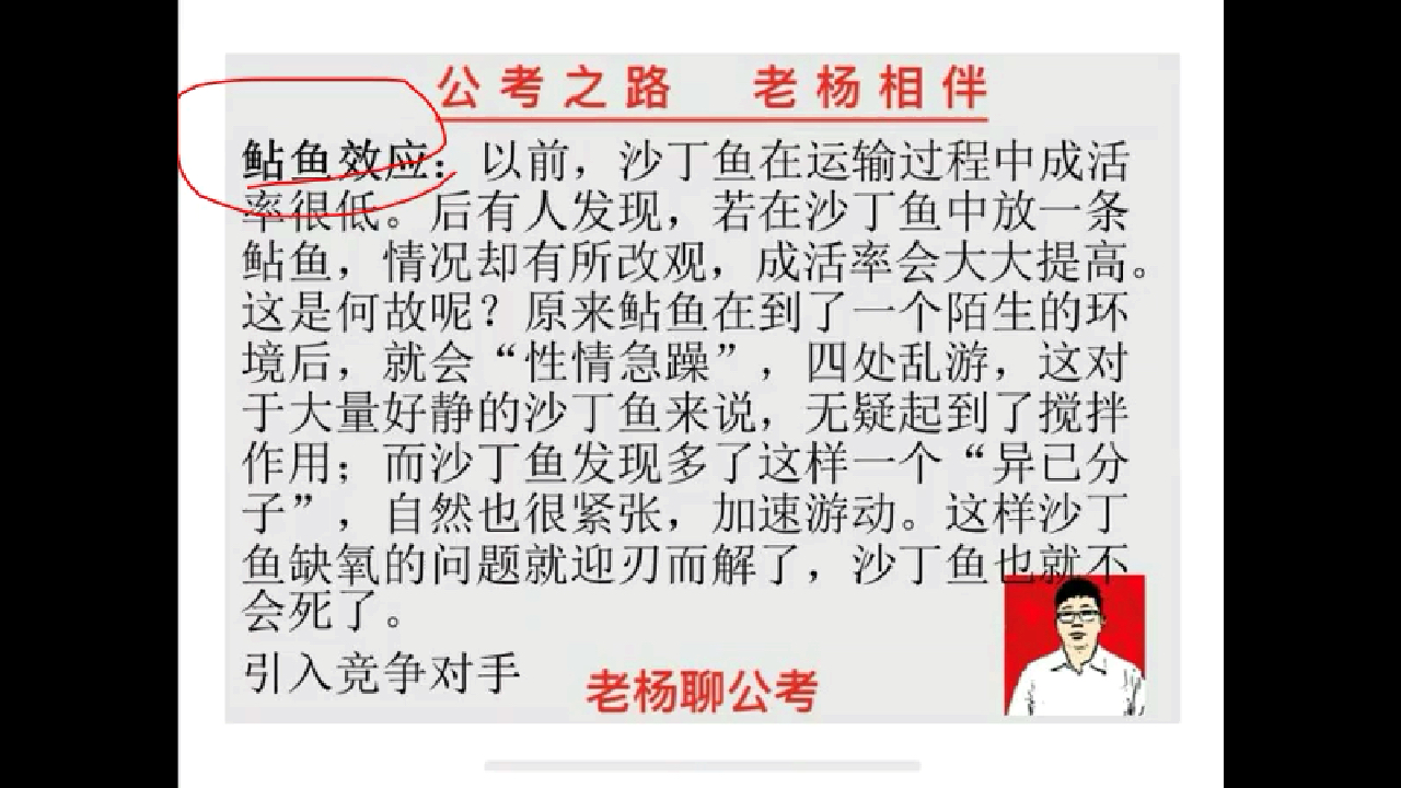 公务员面试,申论必看的四十个原理之鲶鱼效应