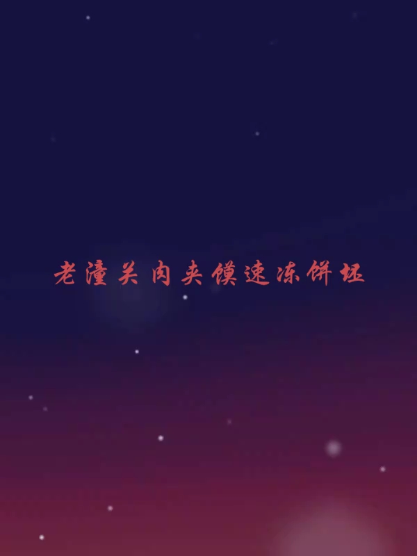 老潼关肉夹馍介绍