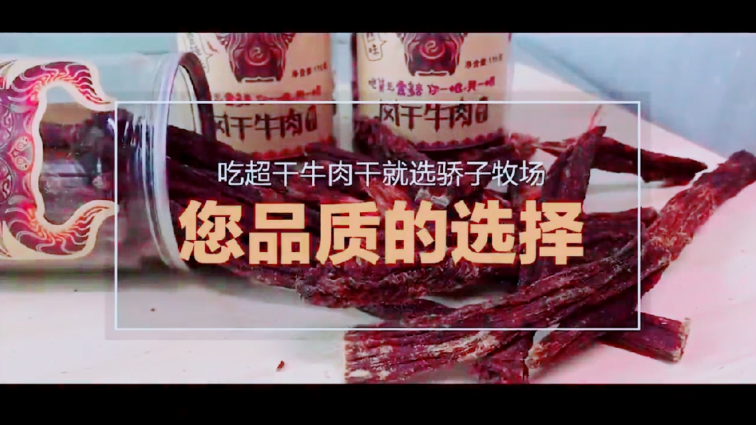 超值2罐 正宗超干 骄子牧场内蒙古超干手撕风干牛肉干