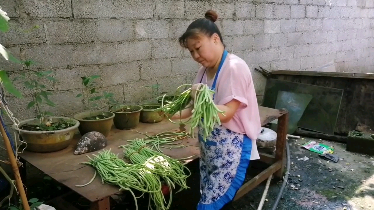 酸豆角大家都爱吃,波姐泡了很多!看看怎么泡!