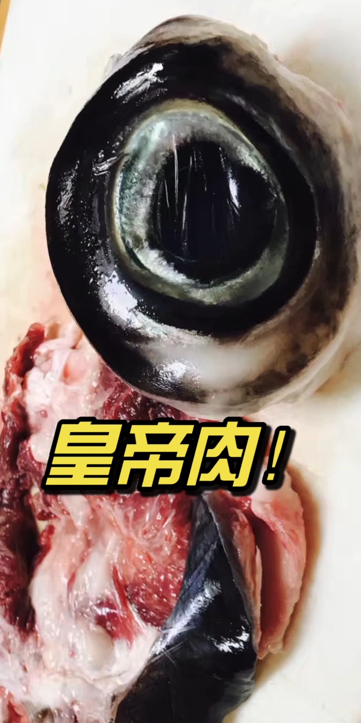 蓝鳍金枪的皇帝肉,已经吃到吐了,但还是要吃完,可惜难带回国,很令人头疼