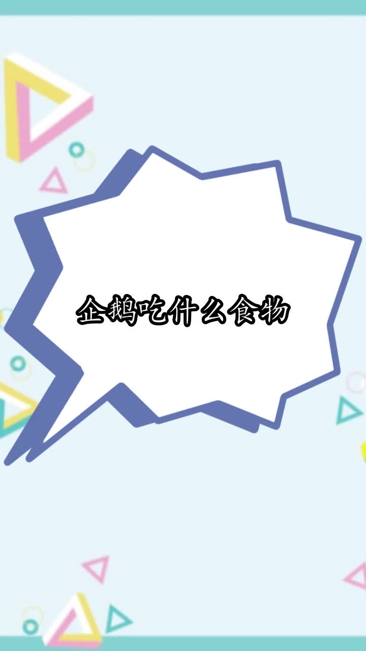 企鹅吃什么食物,你学会了吗