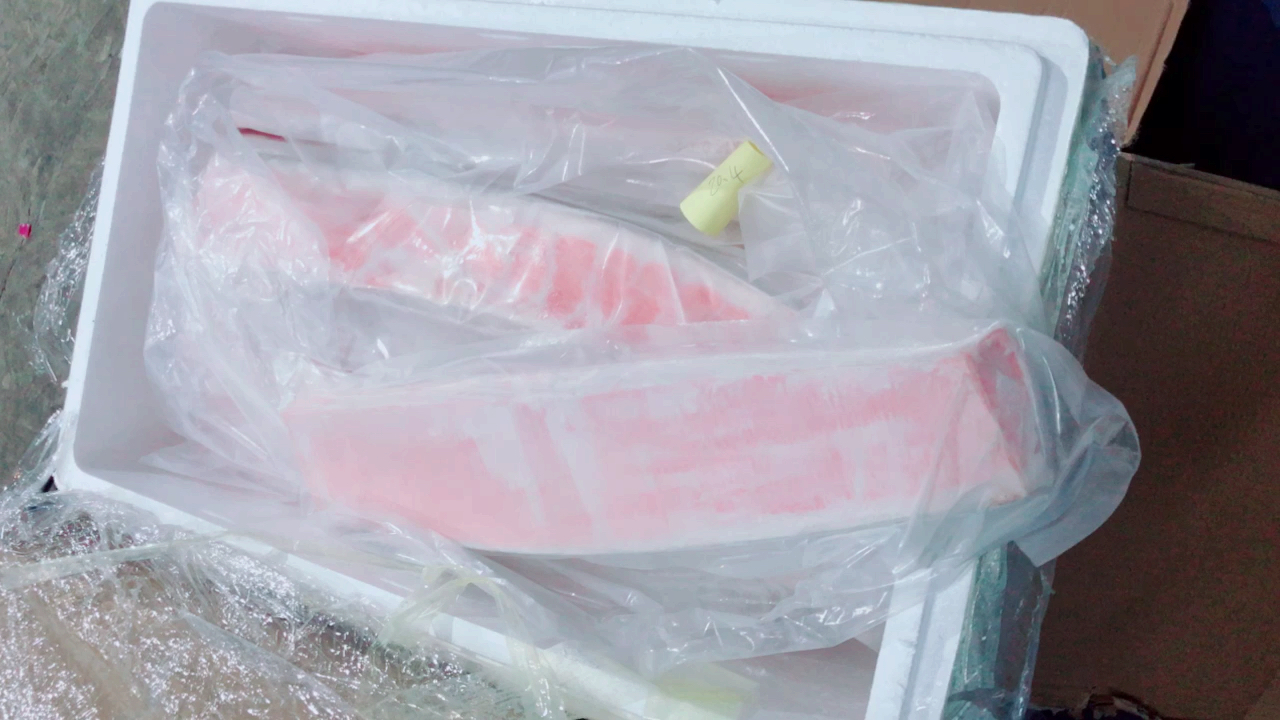 蓝鳍金枪鱼大腹(大拖)