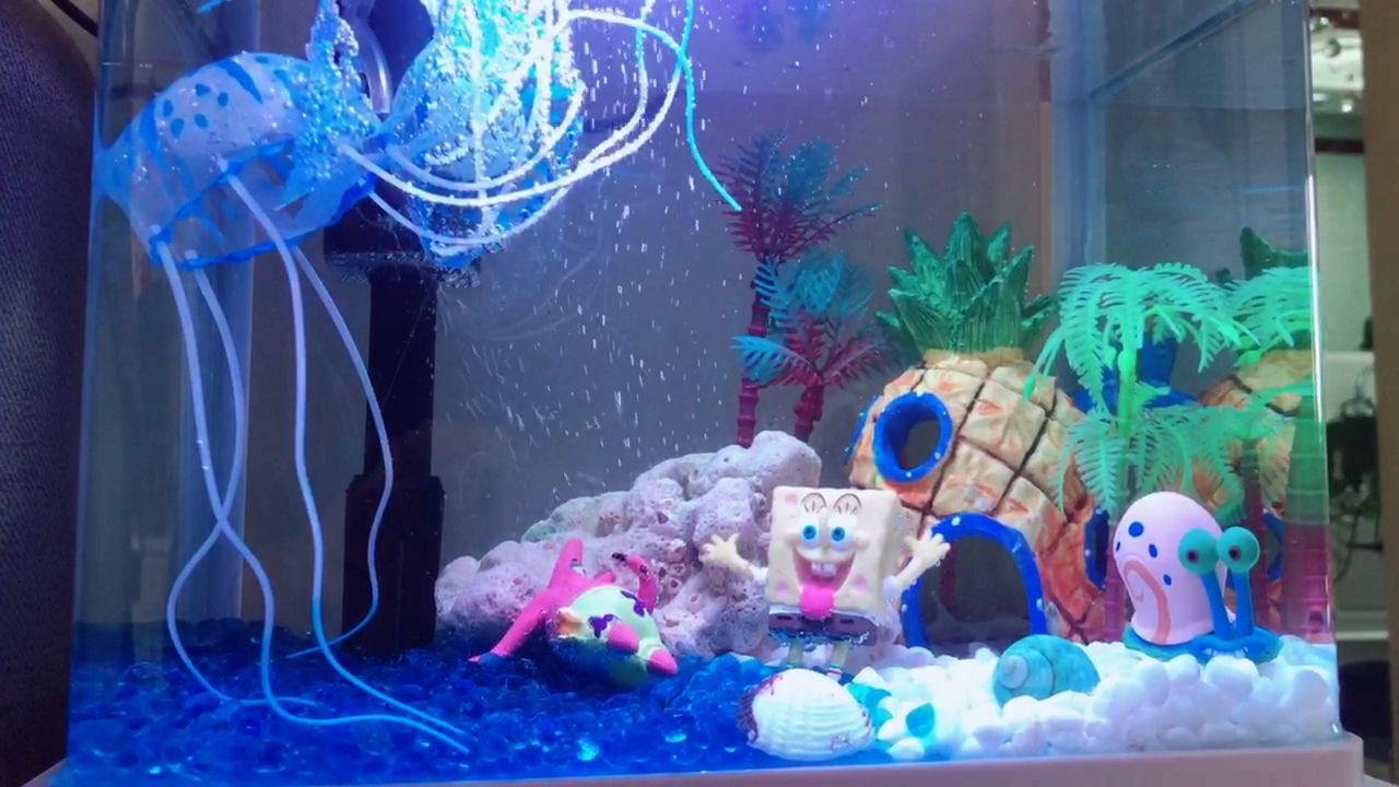 乖妞爱生活:这是乖妞自制的卡通水族箱,你是不是也想要一个呢?