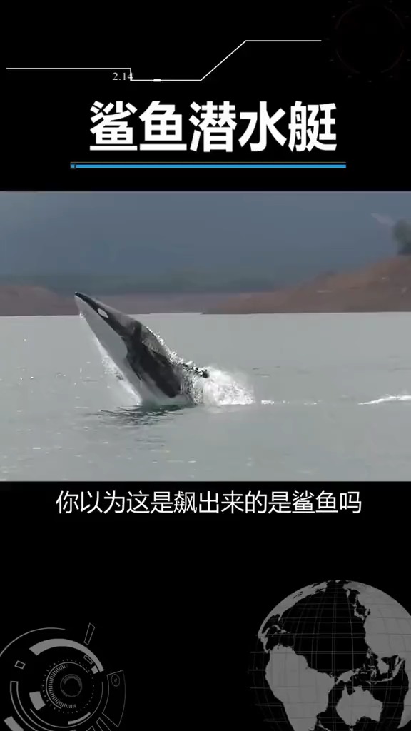 你以为这是鲨鱼吗,快来看看,这是什么?