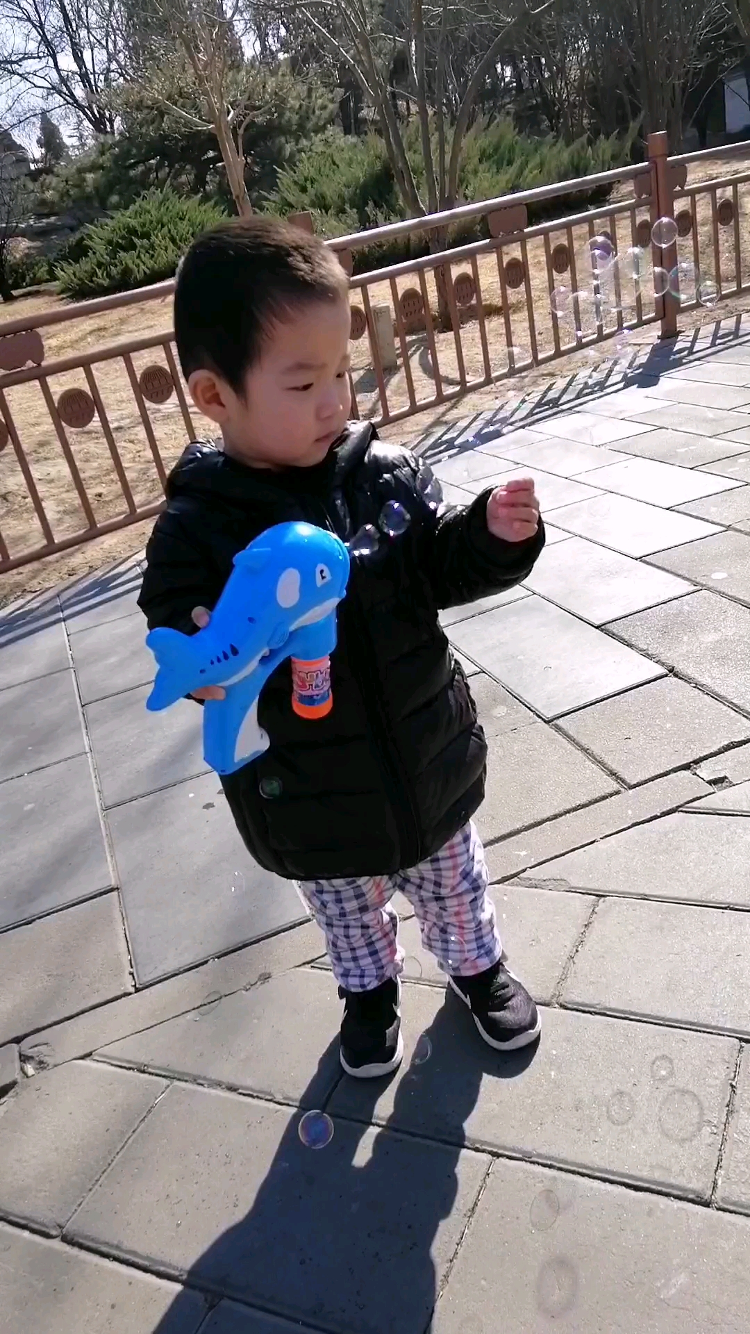 吹泡泡的鱼