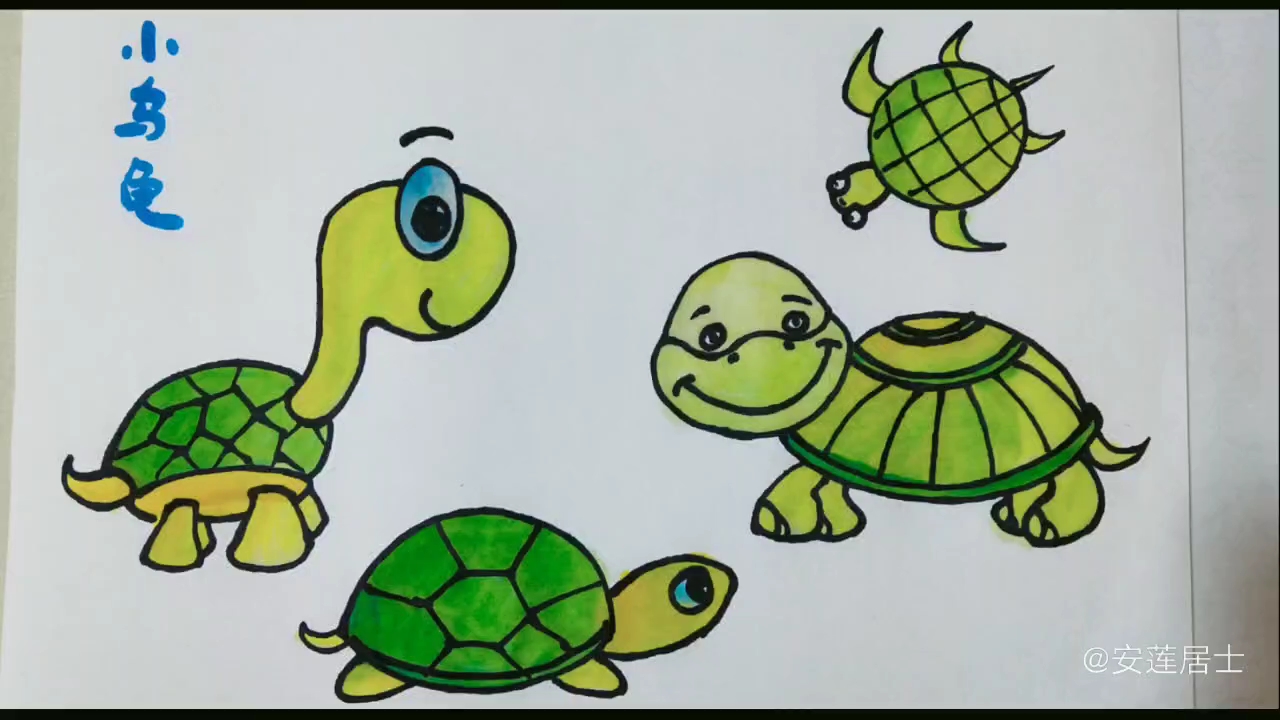 安莲简笔画 动物 小乌龟的几种画法 宝宝早教 开智绘画 教宝贝画