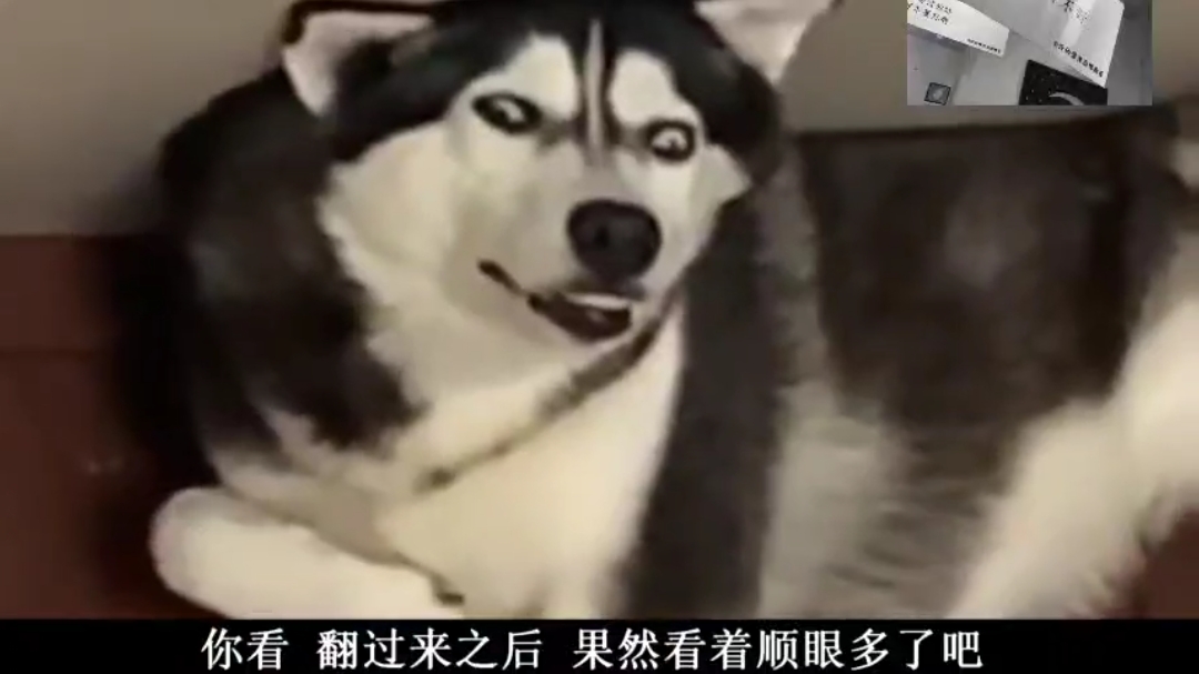 搞笑抽搐视频系列01