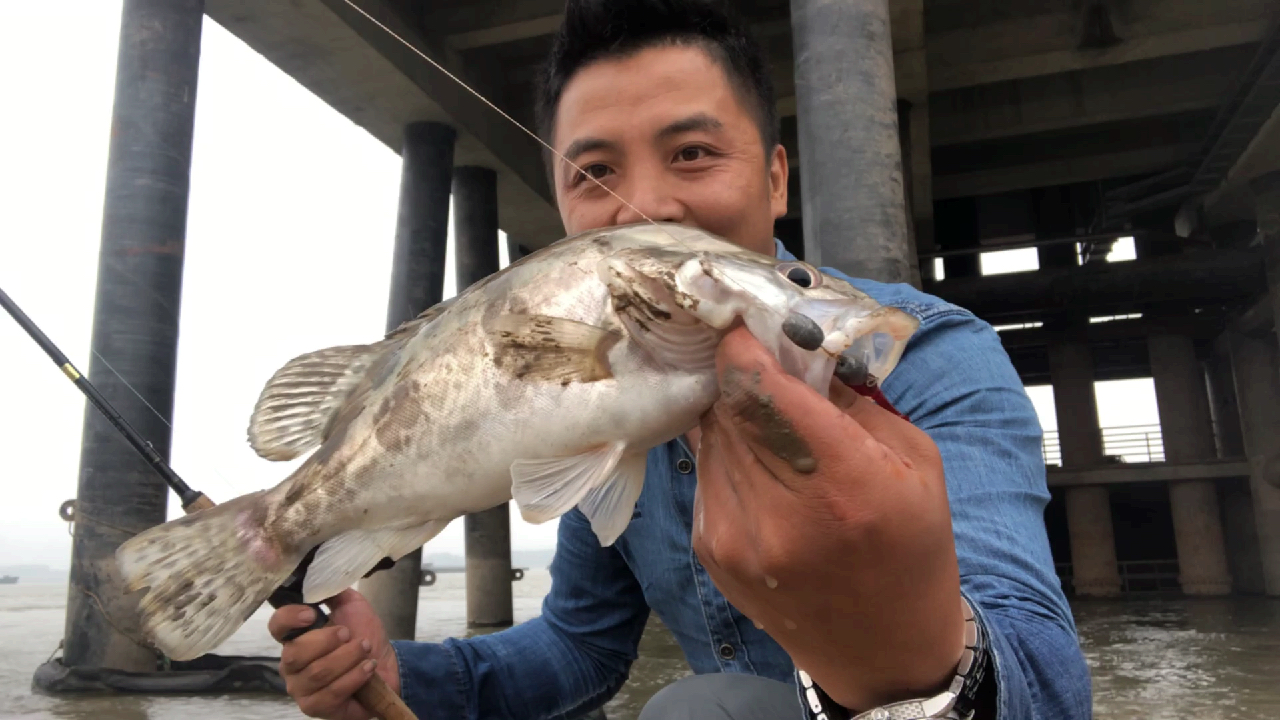 长江路亚鳜鱼,核心选饵技巧,老司机分享心得