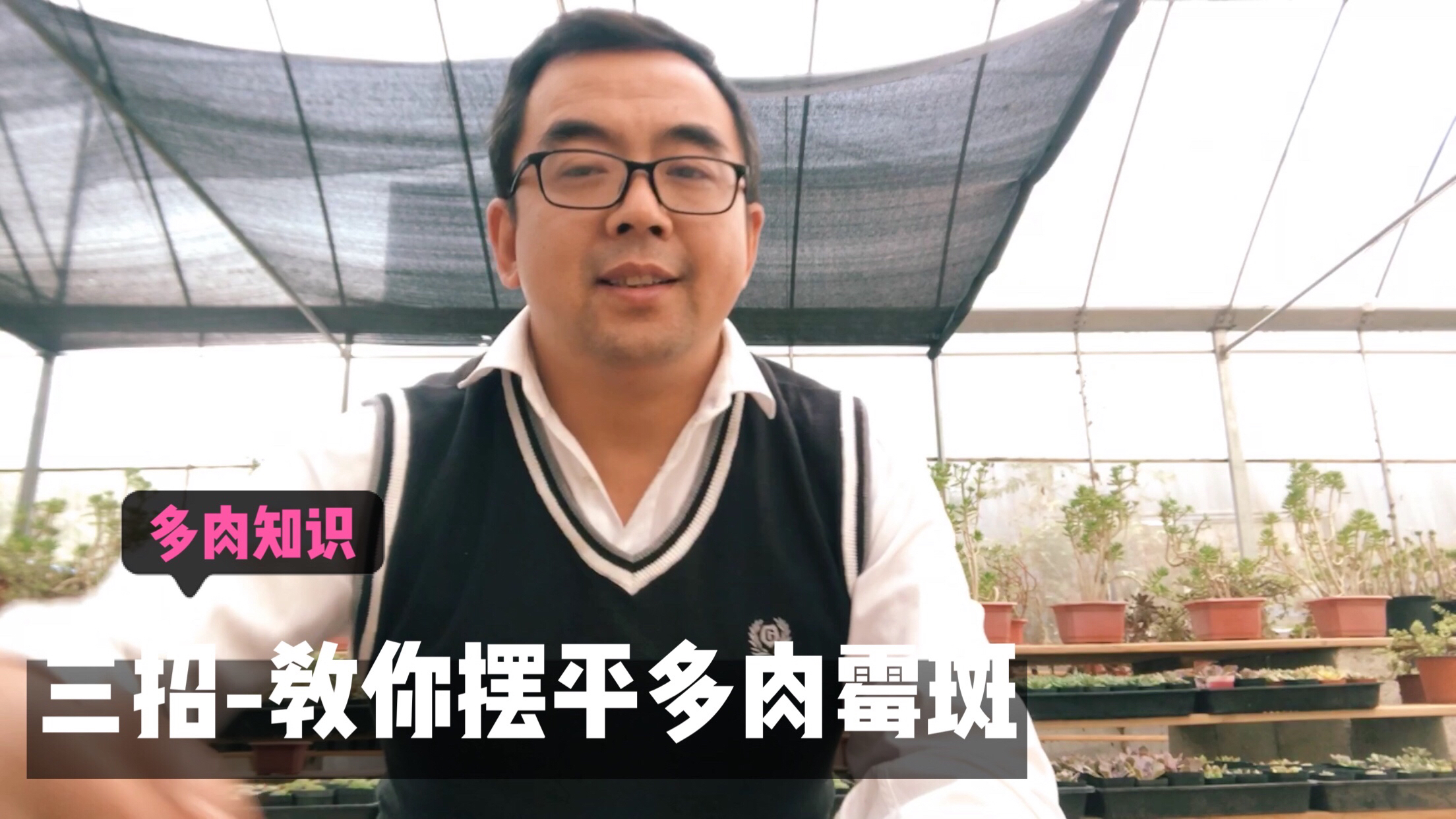 多肉长霉斑该怎么办?三招教你摆平