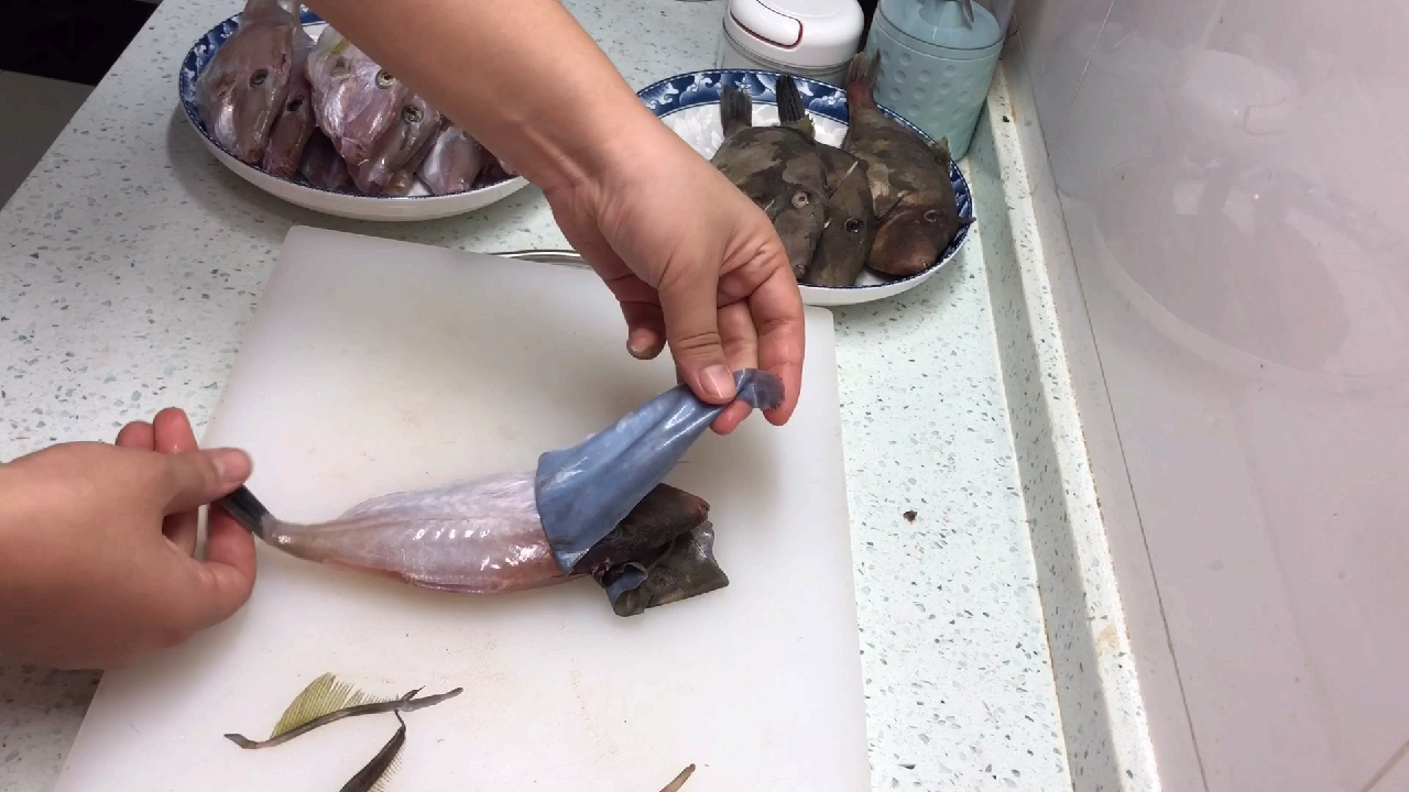 牛鱼也叫“剥皮鱼”“马面鱼”的剥皮技巧!扒皮方法您选对了么?