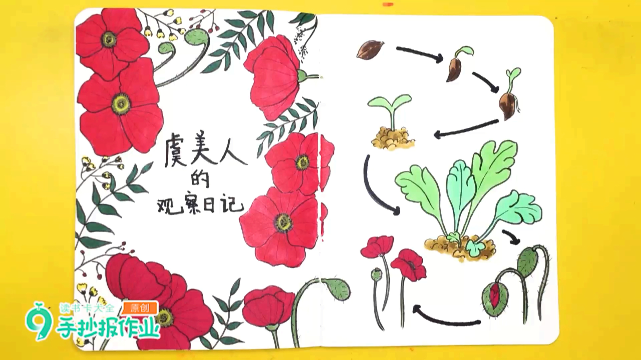 虞美人的观察日记手帐