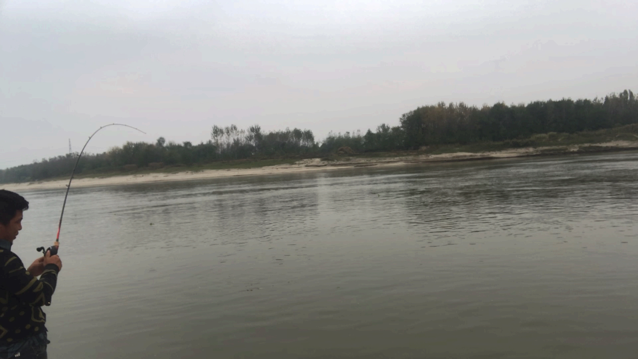 新买的鱼竿,第一次试水,就来大弯弓,汉江的鱼真给面