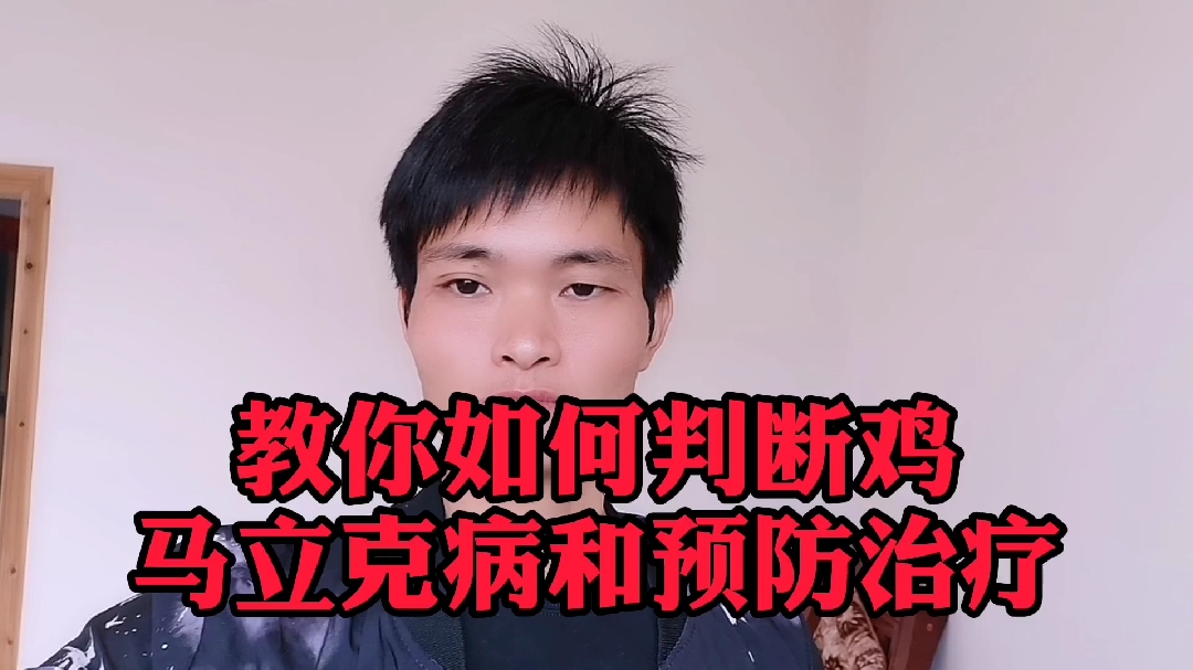 十年养鸡李师兄,教你如何判断马立克预防与防治,看了觉得很简单