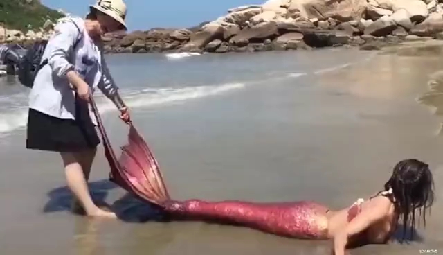 印度抓到了活的美人鱼?听完动物学家的话,实在太震惊了