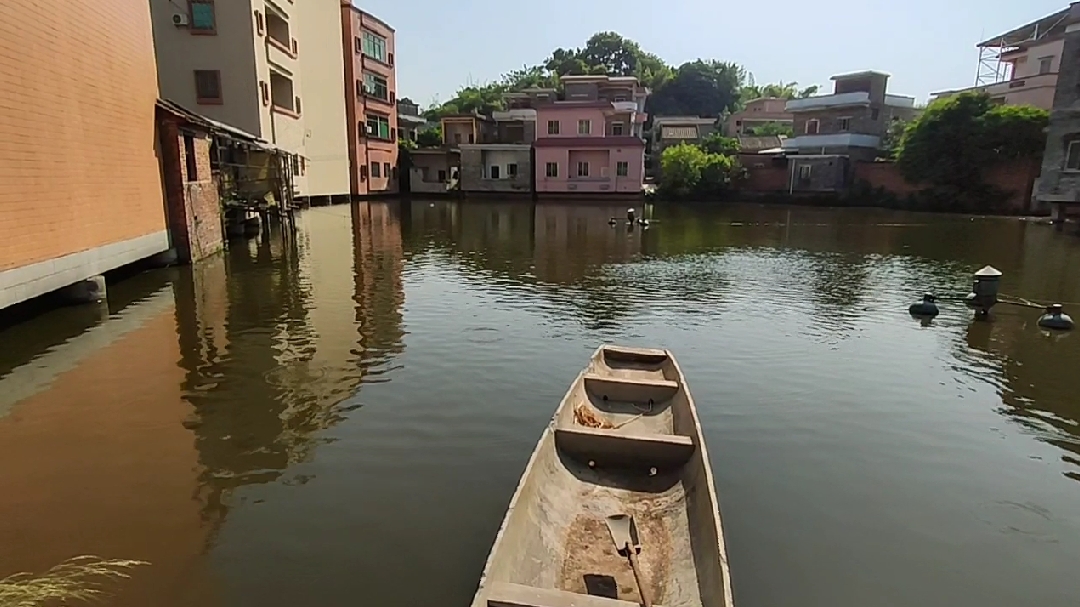 南方的广东农村风景,江门古劳水乡实拍