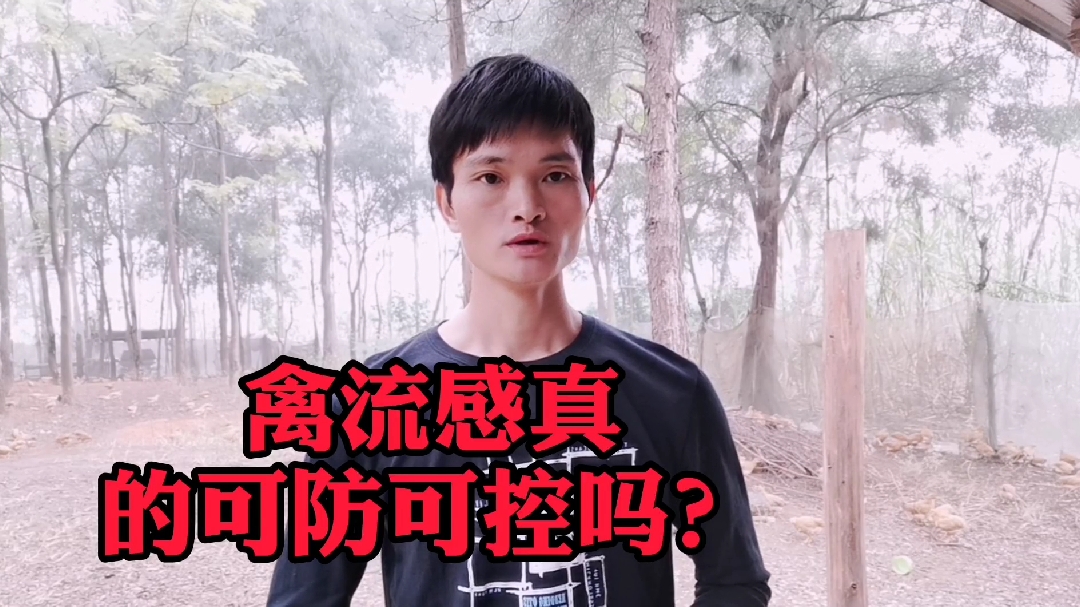 十年养鸡李师兄:在养鸡的过程中不可疏忽的即是它!