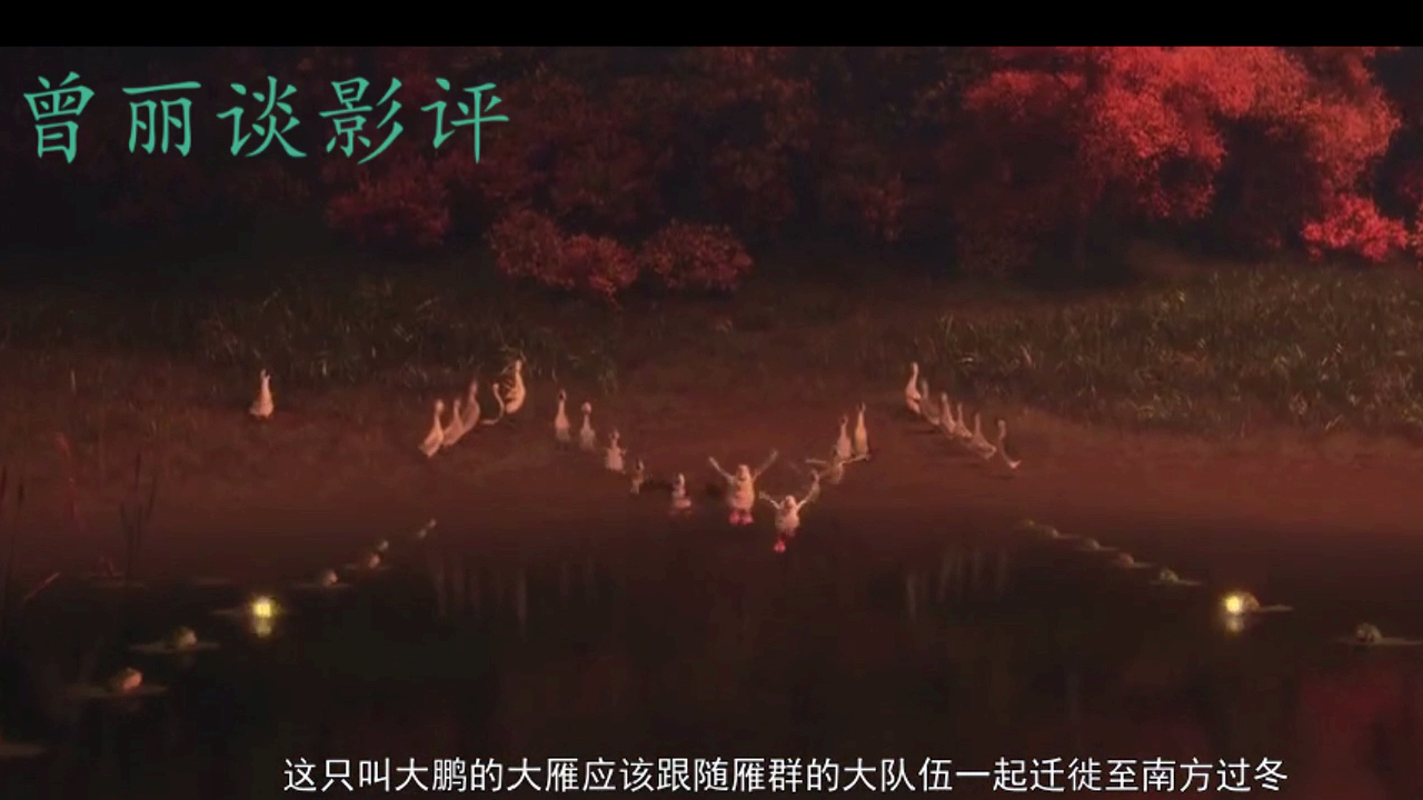 这才是国产动画的正确打开方式《妈妈咪鸭》