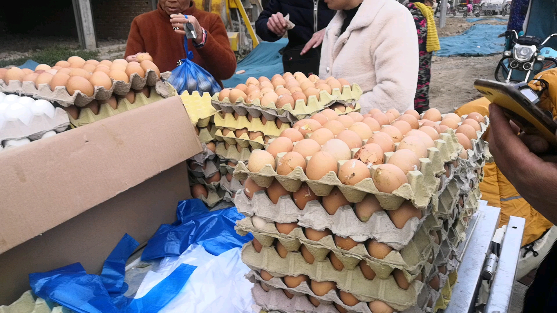孵化场加紧生产鸡苗,乡亲们争相购买的毛鸡蛋