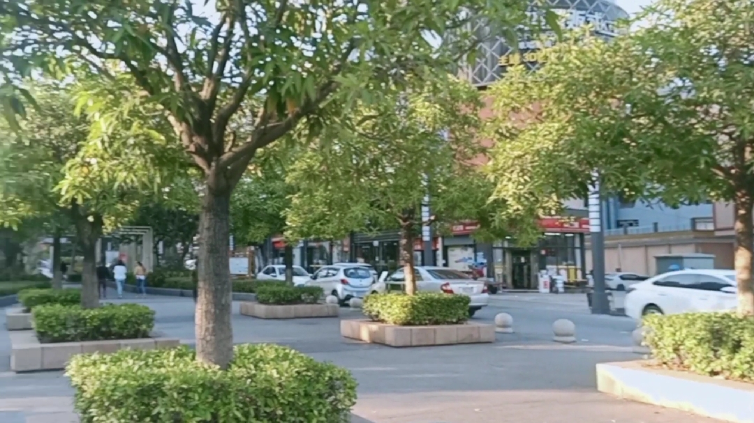 誉为世界工厂的东莞,热闹的商业街中看一下接地气的快餐要多少钱