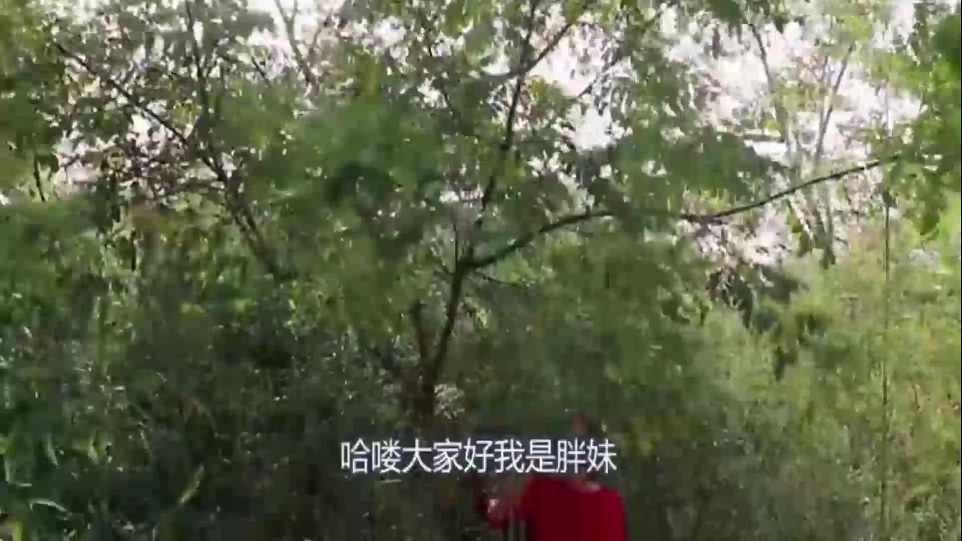 胖妹在家吃的烤鱼,4斤的湄公鱼烤一锅,香辣够劲,真过瘾