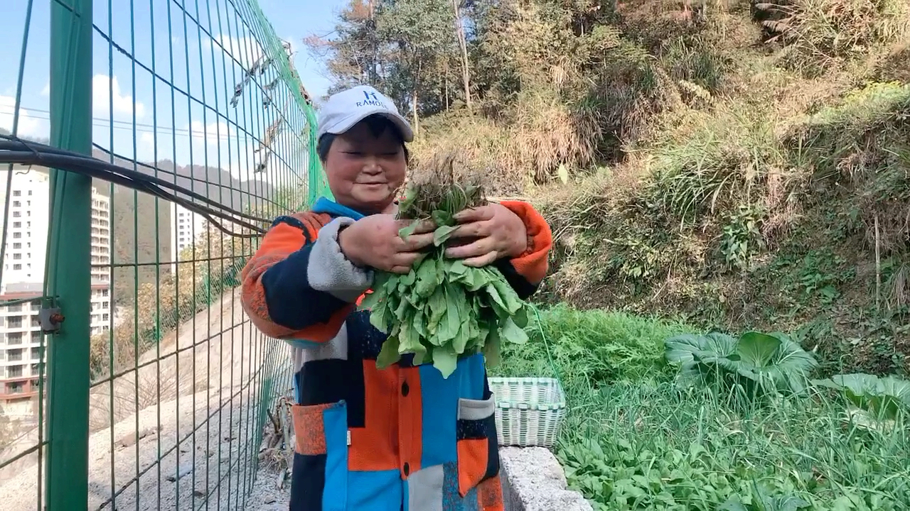 野菜竟有这么多功效,此时不吃待何时?